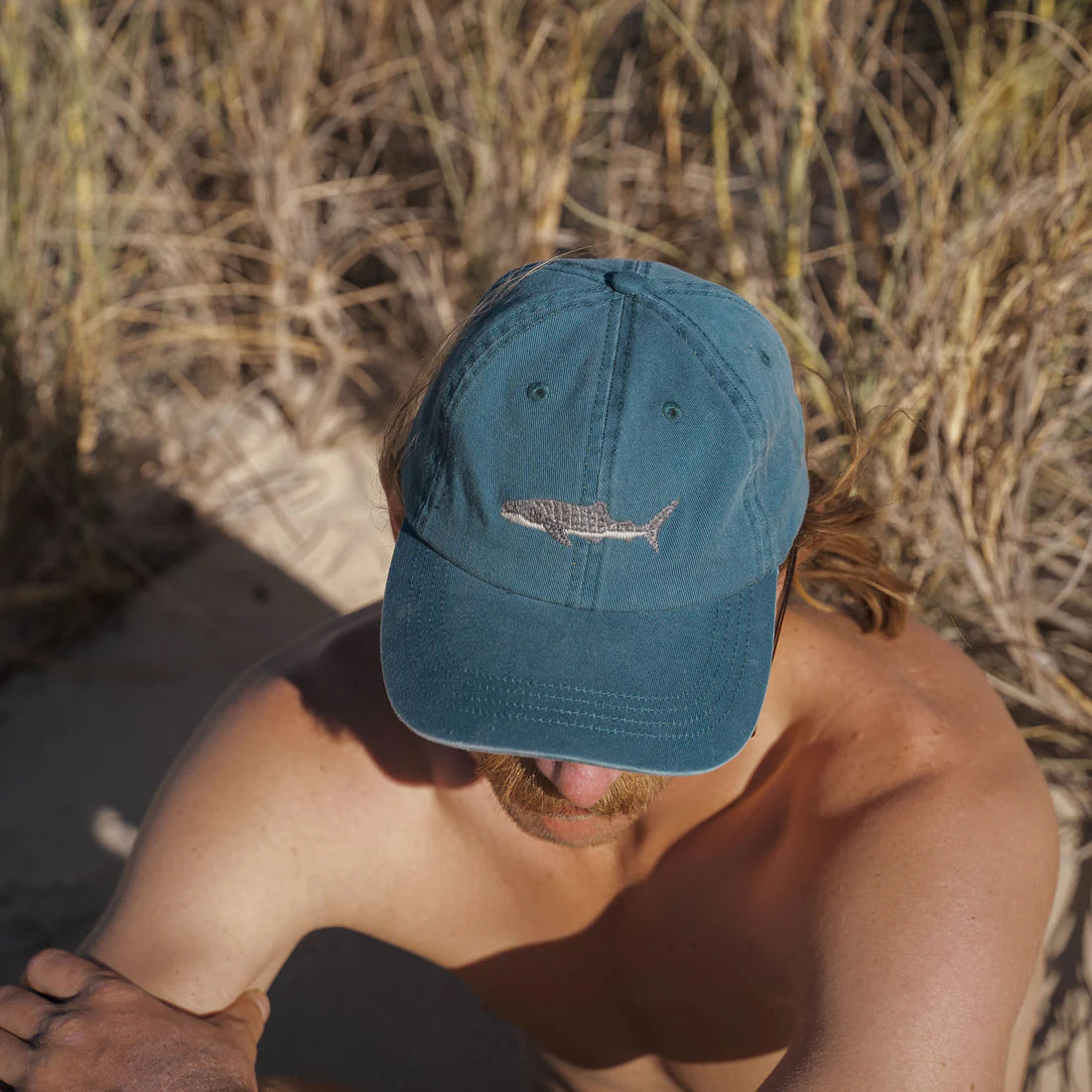 Pallion Point Whale Shark Lid