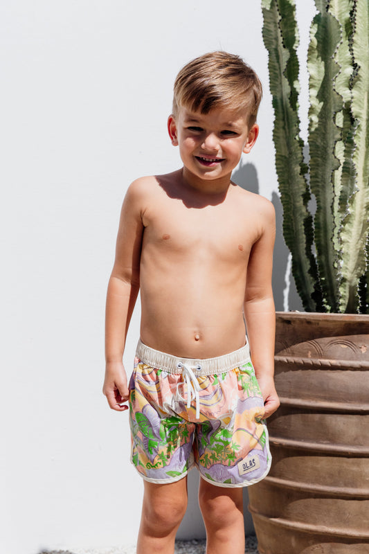 Olas Supply Co. Sandbar Boardshorts, Mini