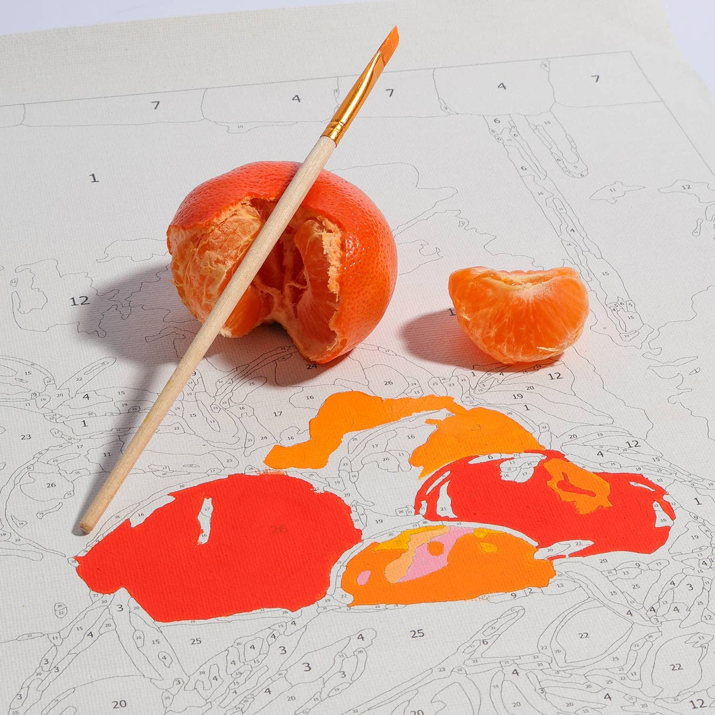 Journey Of Something Paint by Numbers, Bowl of Oranges