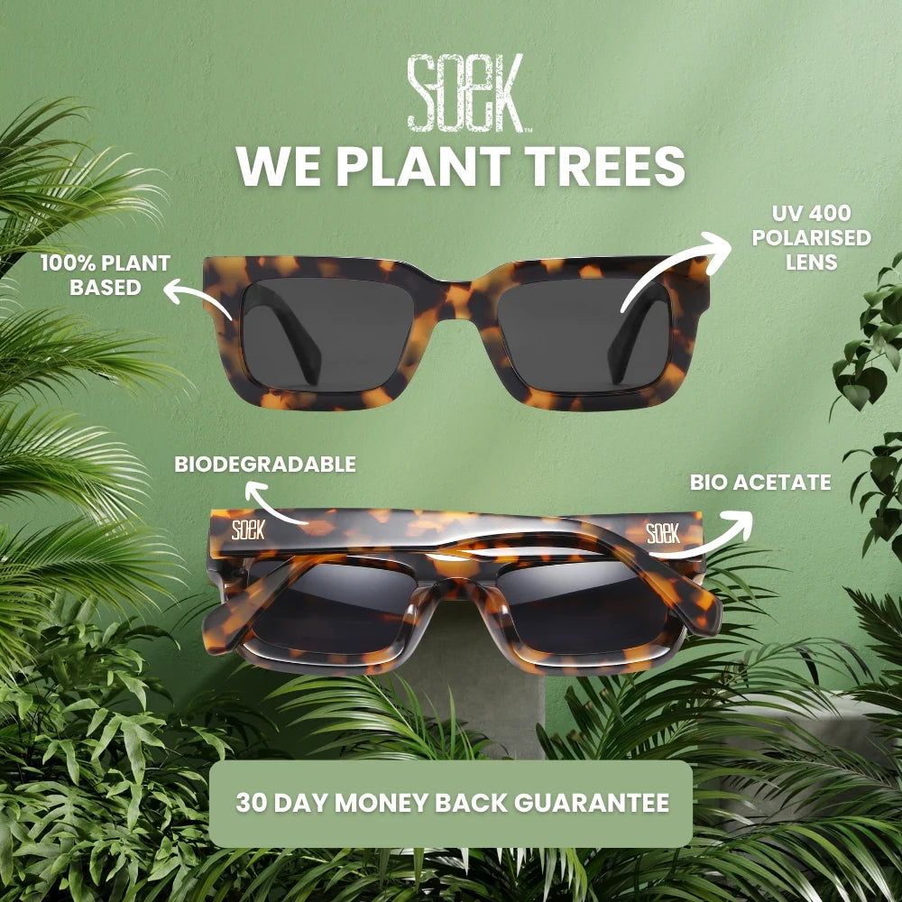 Soek Lover Sunglasses, Tortoiseshell