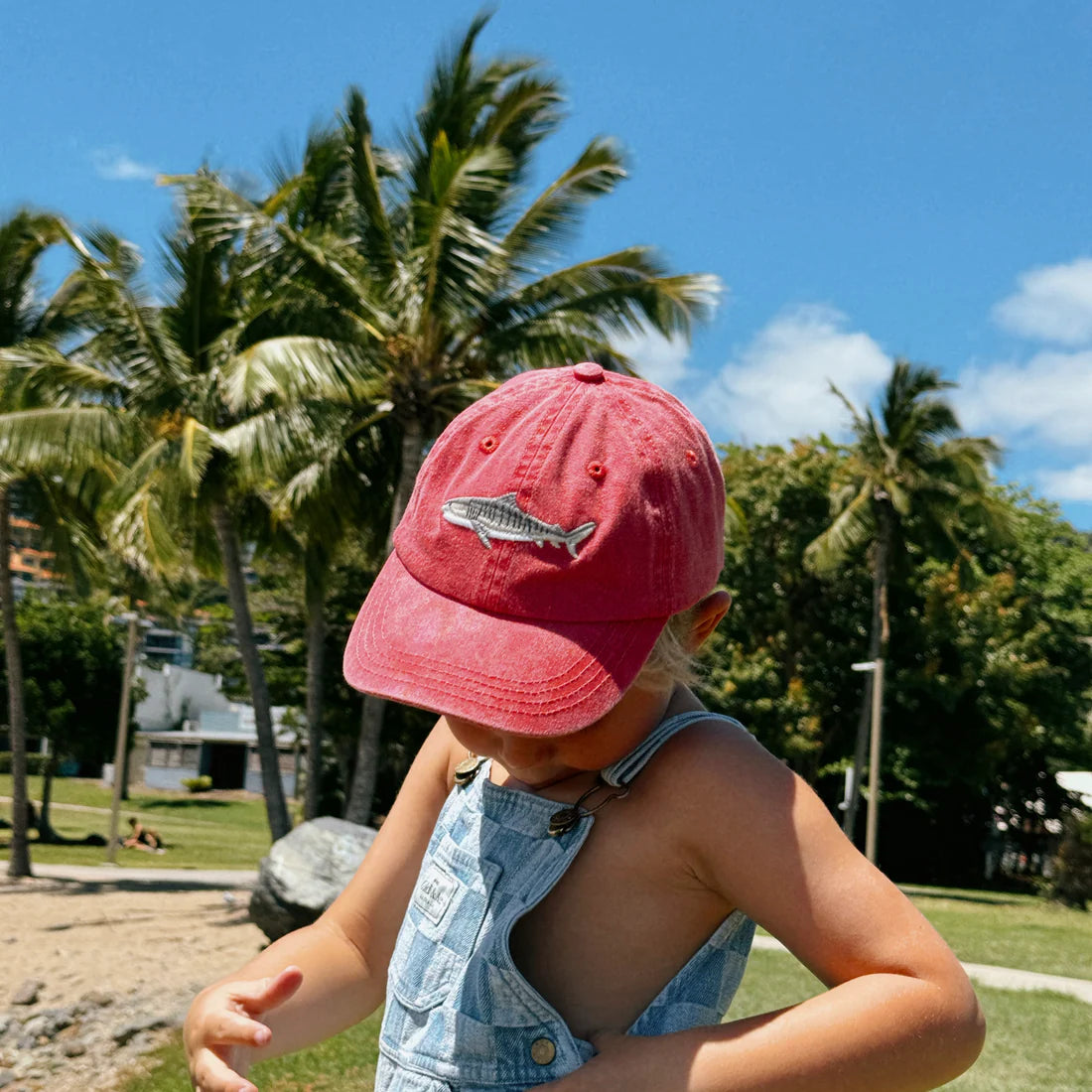 Pallion Point Tiger Shark Lid, Kids
