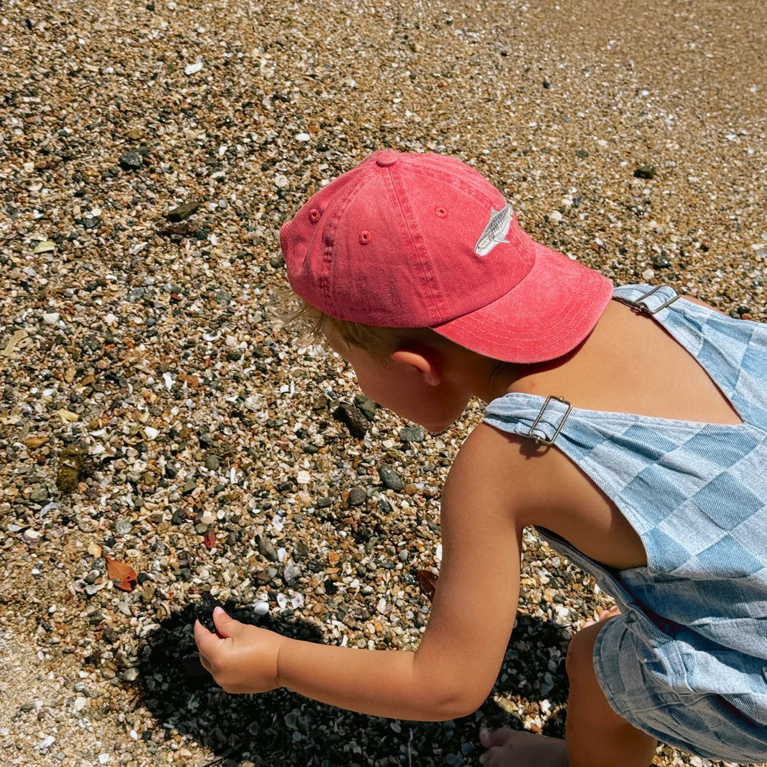 Pallion Point Tiger Shark Lid, Kids