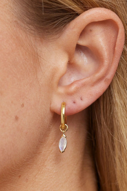 ToniMay Marquise Moonstone Earring Charm, Gold