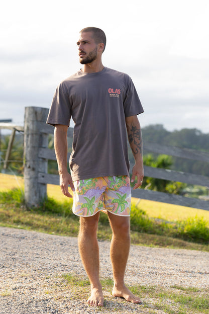 Olas Supply Co. Sandbar Boardshorts, Mens