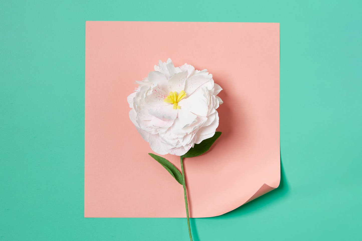 Journey Of Something Paper Flower Making Kit