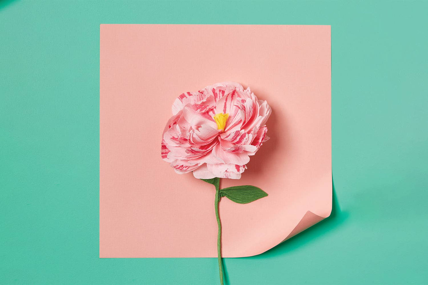 Journey Of Something Paper Flower Making Kit