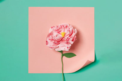 Journey Of Something Paper Flower Making Kit
