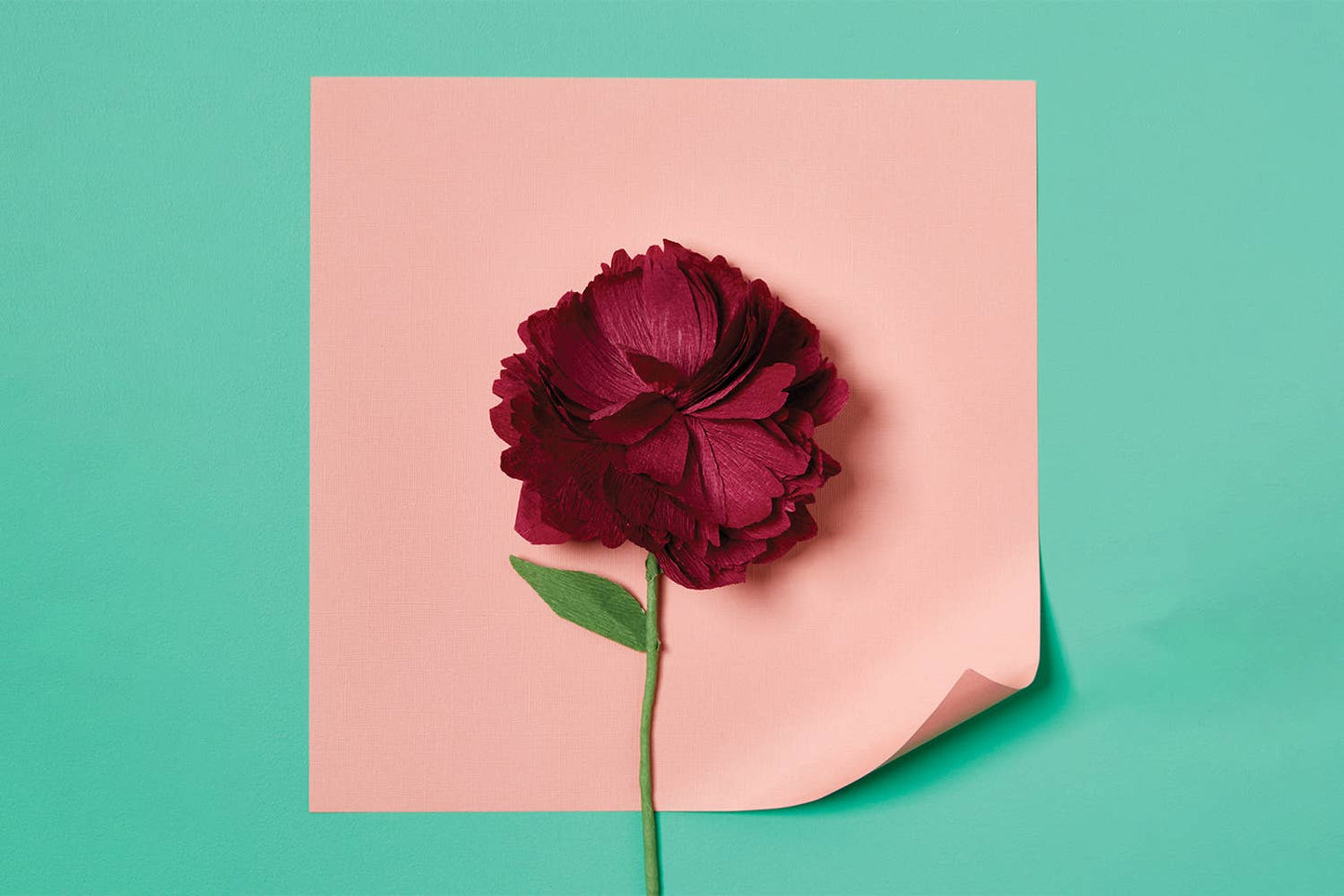 Journey Of Something Paper Flower Making Kit