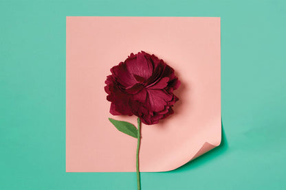 Journey Of Something Paper Flower Making Kit